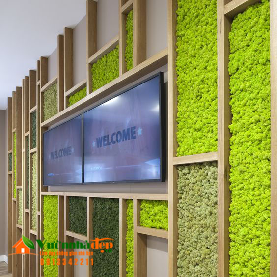 Mẫu thi công tường Rêu nội thất 28 1560142555