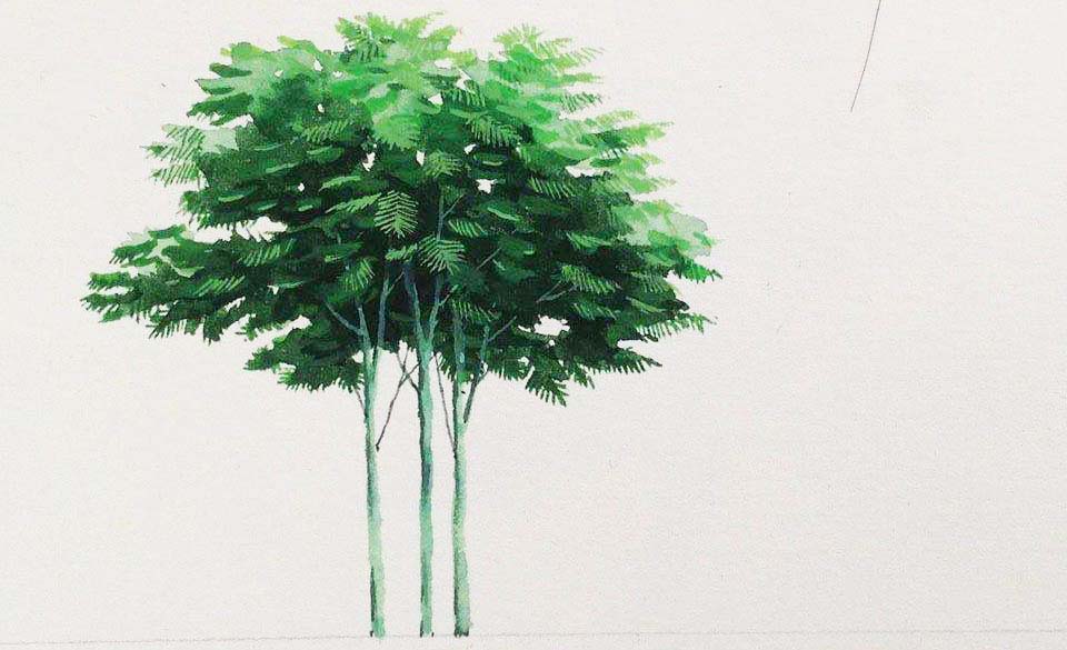 dien-hoa-cay-coi-bang-mau-nuoc-suu-tam-tren-mang 0 1543372194