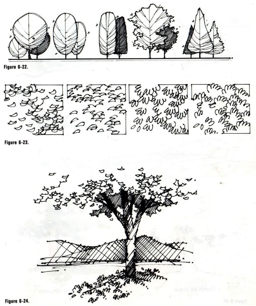 no-image