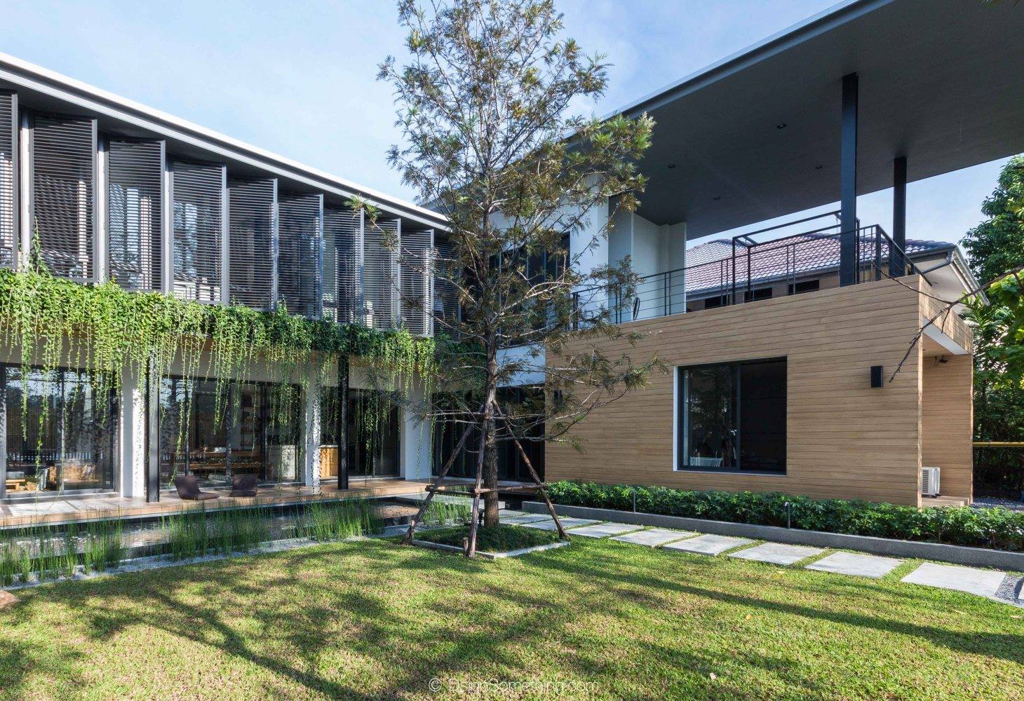 cay-cuoc-ca-tuoi-thanh-xuan-de-cuoi-doi-lam-con-nha-em-xe-ngon-lanh-nhu-vay 8 1543991305