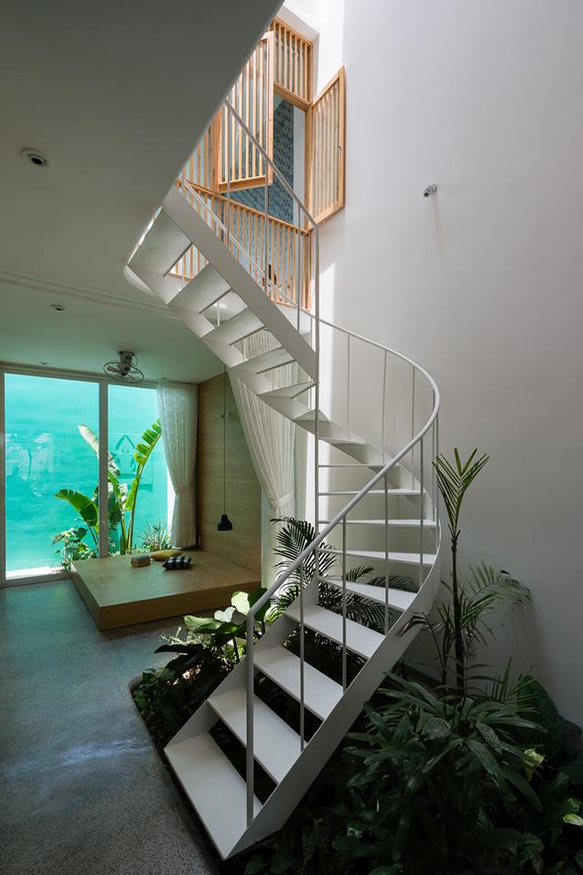 thiết kế Nhà tại Hồ Chí Minh Less House 38 1537172592